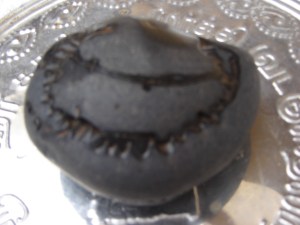 ஒருசாளக்ராமம்