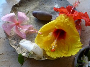 பாணம்.நர்மதை நதியில் கிடைப்பது