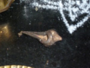 வெள்ளி வேலைப்பாடுகளுடன் கூடிய அப்பாவின் புராதன சங்கு