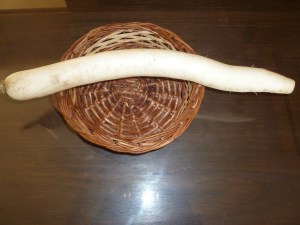 முள்ளங்கி