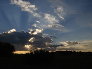 பை,பை ஆப்பிரிக்க கங்கை அணைக்கட்டே. நான் வைத்த பெயர்இது.