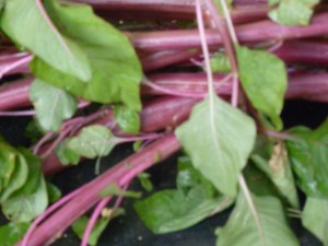 சிவப்புக் கீரைத்தண்டு