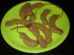 புளியங்காய்