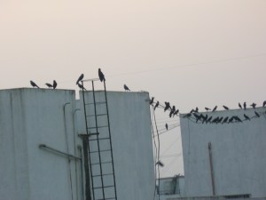 என்ன ஆச்சுங்க அதுக்குள்ளே அங்கே போய்ட்டீங்க