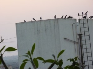 எங்க க்ளாஸ் பாத்தீங்களா? நாங்கள் மும்பை வாசிகள்