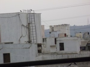 நாங்களும் அதே கூட்டங்க