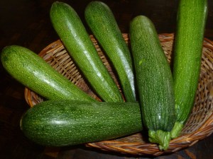 ஜுசுனி. ஜெனிவாவில்குர்ஜர்