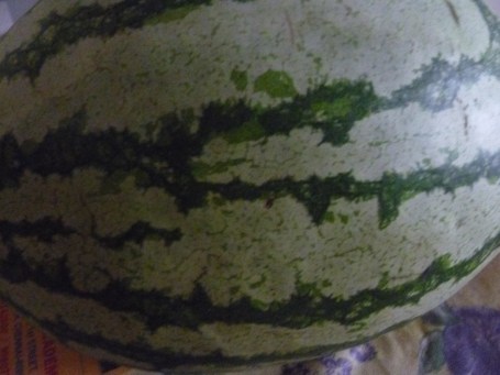 தர்பூசணி