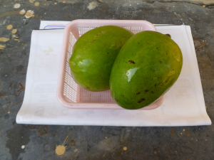 புளிப்பு மாங்காய்கள்