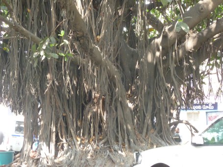 ஆலம் விழுதுகள்