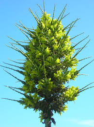 பூக்களுடன்