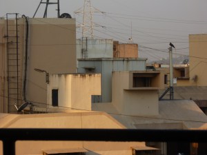 கம்பத்தின் மீது