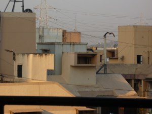 பருந்து பறந்து வந்து போஸ் கொடுக்கிறது.