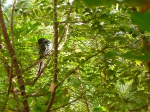 முகத்தைத் திருப்பி