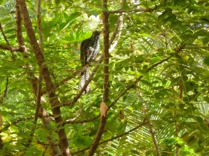 நான் அழகாக இருக்கிறேனா