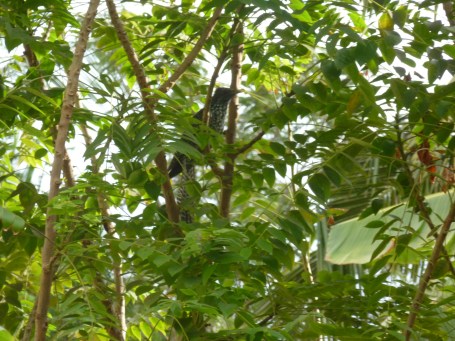 மீதிபேர் நாளைக்கு