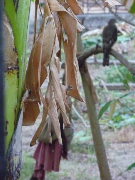 ஓரமாபோயி பின்னழகா.இருஇரு