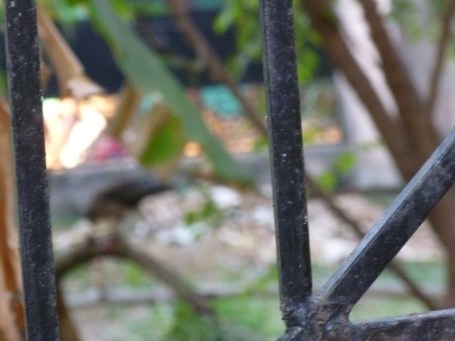 நீவேறயா?சொன்னபடி வந்துட்டயா?