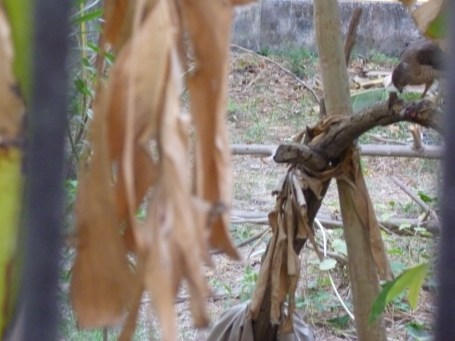 குத்தணுமா,குதறணுமா. போதும் நான் பார்த்தது பை