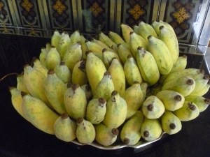 P1030558இனிய பழங்கள்