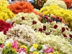 மலர்கள்