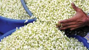 imagesமல்லி