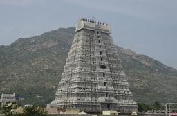 அண்ணாமலையார் கோபுரமும் மலையும்