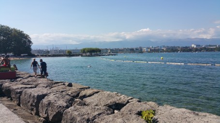 இதுவும் அதுவே