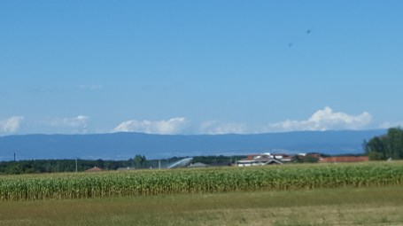 சோளக்கொல்லையும் ,பின்புற வீடுகளும்