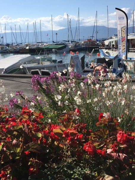 ஒருகாட்சி