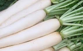 முள்ளங்கிகள்