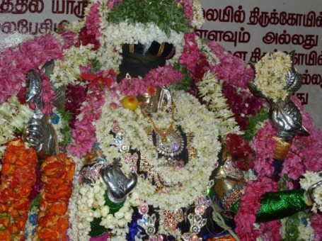 மாயிமகமாரியம்மா கோலியனூர் மாரியம்மா