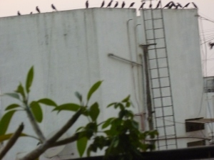 நாங்க ஒரு ஸெக்க்ஷன்