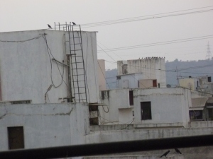 நாங்களும் அதே கூட்டங்க